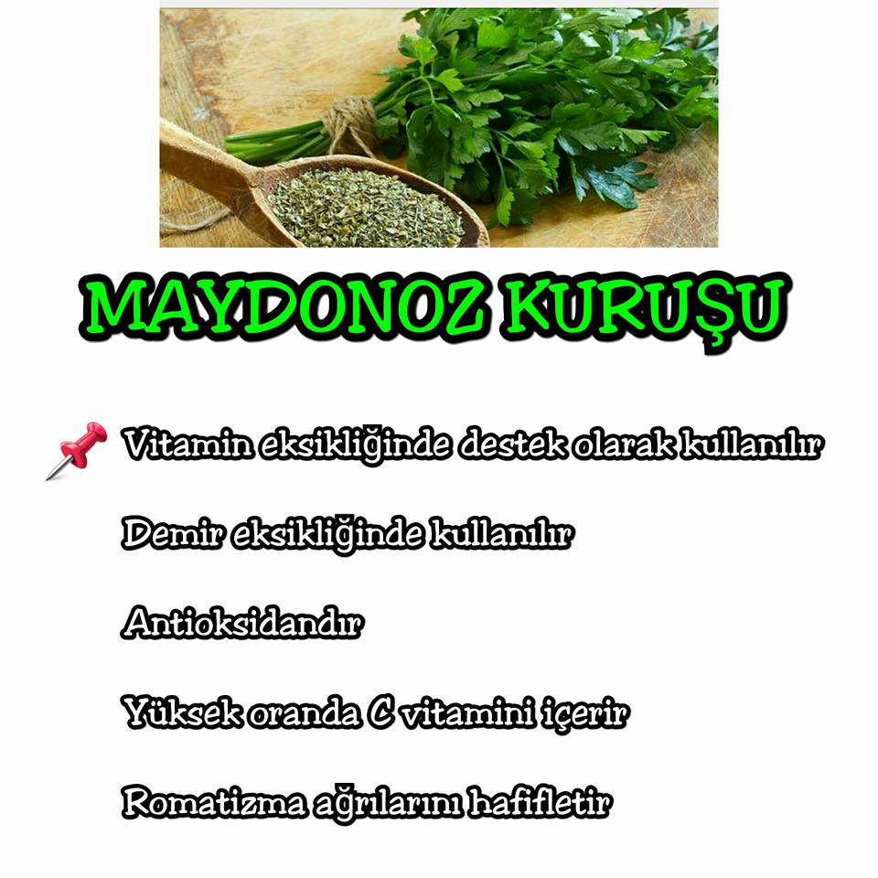 Faydaları Nelerdir Faydaları Nelerdir